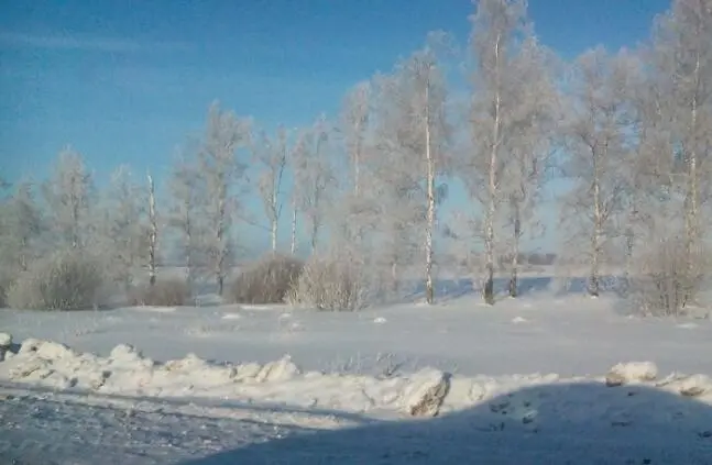 Долгий путь долиной Вьётся меж снегов Русскою былинной Песнею веков Гул - фото 3