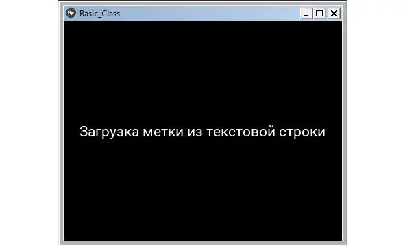 Рис 216Окно приложения BasicClass при загрузки метки из текстовой строки - фото 57