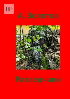 Александр Золотов - Разведчики. Приключения