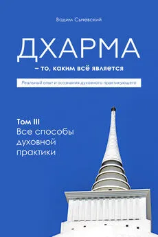 Вадим Сычевский - Дхарма – То, каким всё является. Том 3. Все способы духовной практики