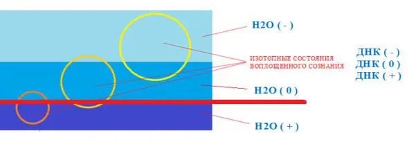 Для энергий ДНК Природы нормальным состоянием является состояние устремленной к - фото 40