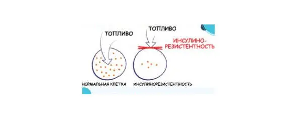 рис Теперь посмотрите что происходит дальше Клетка не получает глюкозу и - фото 2
