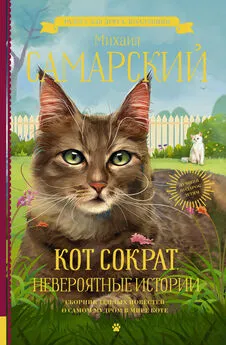 Михаил Самарский - Кот Сократ. Невероятные истории