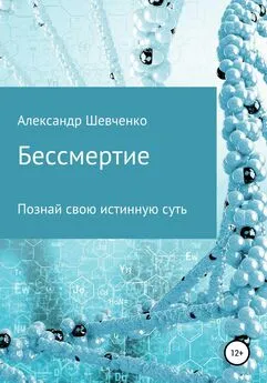 Александр Шевченко - Бессмертие