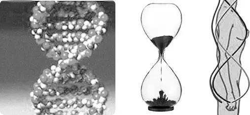Рис 12 Фрактальностъ спирали ДНК и песочных часов фигуре человека Если - фото 18