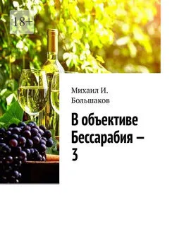 Михаил Большаков - В объективе Бессарабия – 3. Книга-альбом