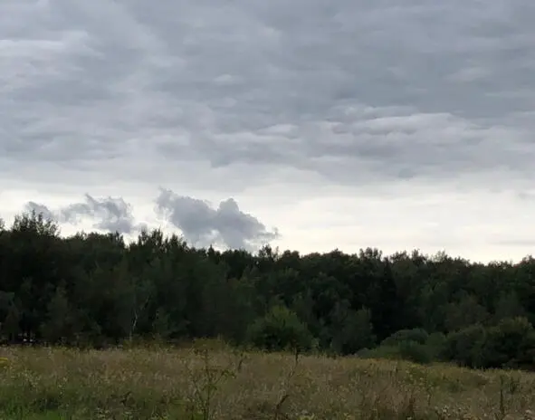 Принимаешь по внутренней готовности в точке резонирования при том что точка - фото 3