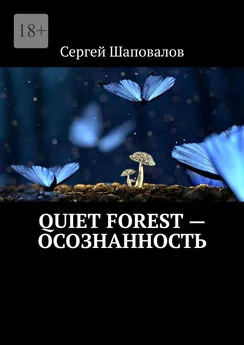 Сергей Шаповалов - Quiet Forest – Осознанность
