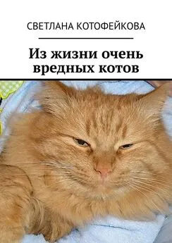 Светлана Котофейкова - Из жизни очень вредных котов