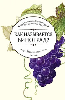 Джалаладдин Руми - Как называется виноград?