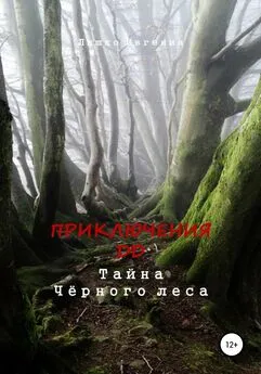 Евгения Ляшко - Приключения ДД. Тайна Чёрного леса