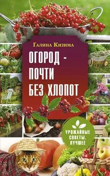 Галина Кизима - Огород – почти без хлопот