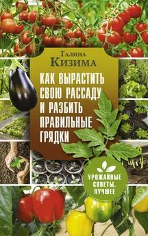 Галина Кизима - Как вырастить свою рассаду и разбить правильные грядки