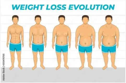 In this illustration starting from left to right the following body volume - фото 5