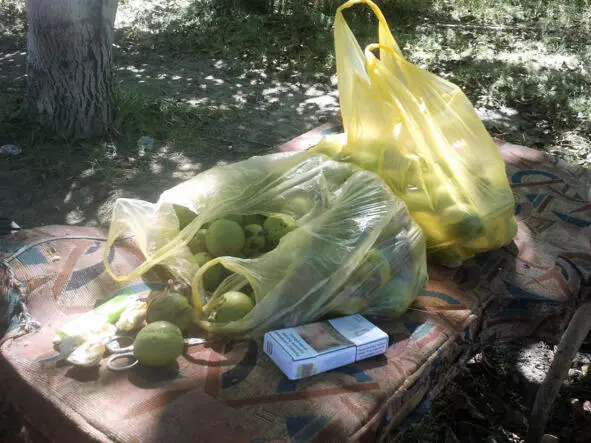 Фото автора Орехи грецкие здесь они ещё в зелёных шкурках Двинулись - фото 22
