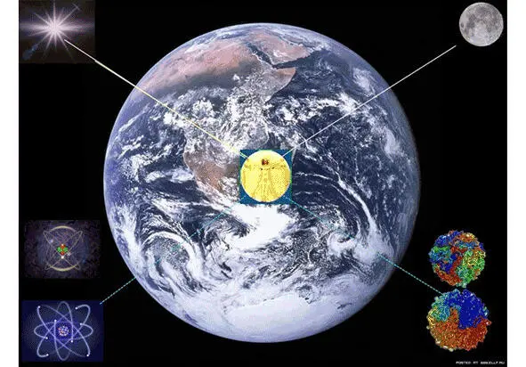 Человек и его Дом окружающий мир Umwelt иллюстрация к осознанию - фото 1
