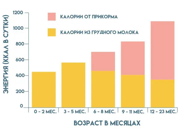 Детская еда и переход на общий стол В результате коммерциализации детского - фото 4