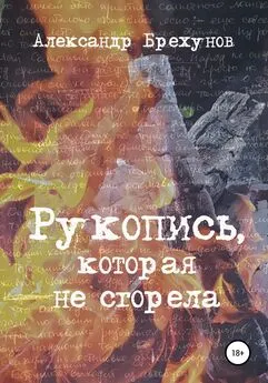 Александр Брехунов - Рукопись, которая не сгорела