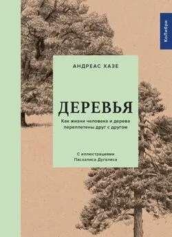 Андреас Хазе - Деревья. Как жизни человека и дерева переплетены друг с другом