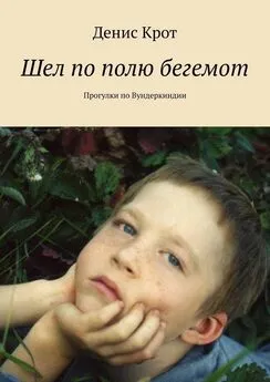 Денис Крот - Шел по полю бегемот. Прогулки по Вундеркиндии