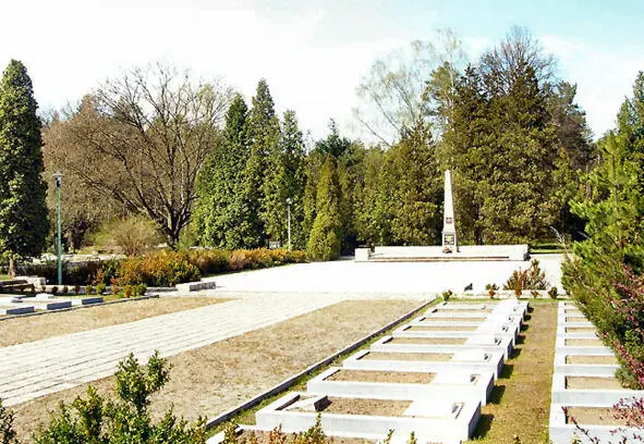 г КендзежинКозле KędzierzynKoźle Кендзежиньскокозельский повят - фото 62