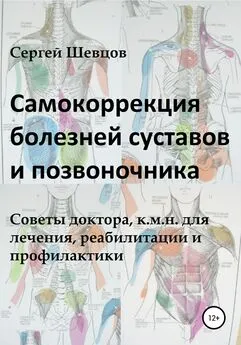 Сергей Шевцов - Самокоррекция болезней суставов и позвоночника