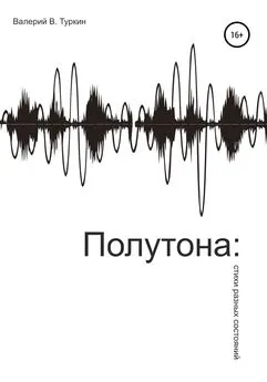 Валерий Туркин - Полутона: стихи разных состояний