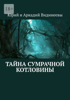 Юрий и Аркадий Видинеевы - Тайна Сумрачной Котловины