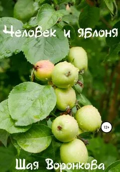 Шая Воронкова - Человек и яблоня