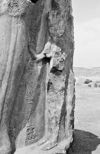 Фрагмент колосса Рамсеса II с изображением Маатхорнефрура в Танисе Есть - фото 4