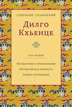 Дилго Кхьенце - Собрание сочинений. Том 1. Путешествие к просветлению. Просветлённая храбрость. Сердце сострадания