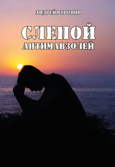 Андрей Воронин - Слепой. Антимавзолей