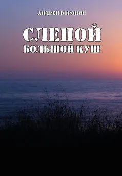 Андрей Воронин - Слепой. Большой куш