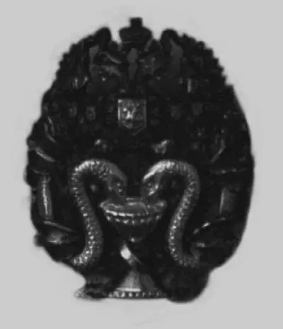 Знак отличия для врачей удостоенных степени доктора наук Устроили - фото 57