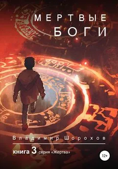 Владимир Шорохов - Мертвые боги. Книга 3