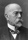 РОБЕРТ КОХ Германия ROBERT КОCH 18431910 1901 1905 1908 1913 1919 1930 - фото 21