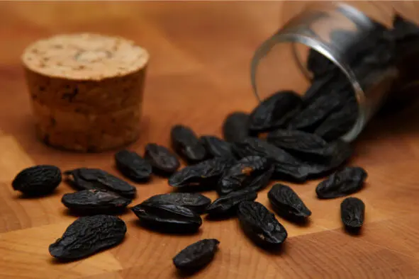 Бобы Тонка tonka bean Научная классификация Домен Эукариоты Царство - фото 20