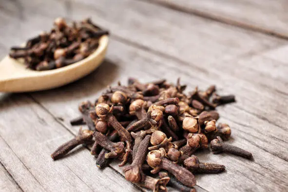 Гвоздика cloves Научная классификация Домен Эукариоты Царство Растения - фото 28