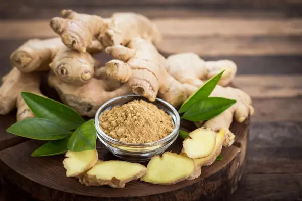 Имбирь ginger Научная классификация Домен Эукариоты Царство Растения - фото 47