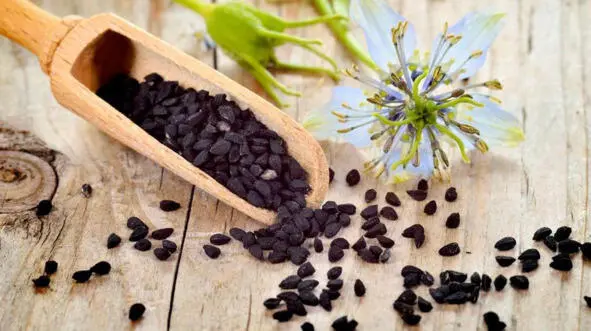Калонджи nigella Научная классификация Домен Эукариоты Царство Растения - фото 53