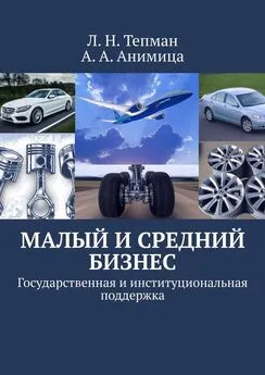 А. Анимица - Малый и средний бизнес. Государственная и институциональная поддержка