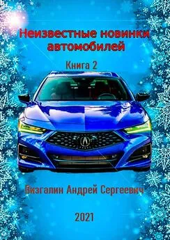 Андрей Визгалин - Неизвестные новинки автомобилей. Книга 2