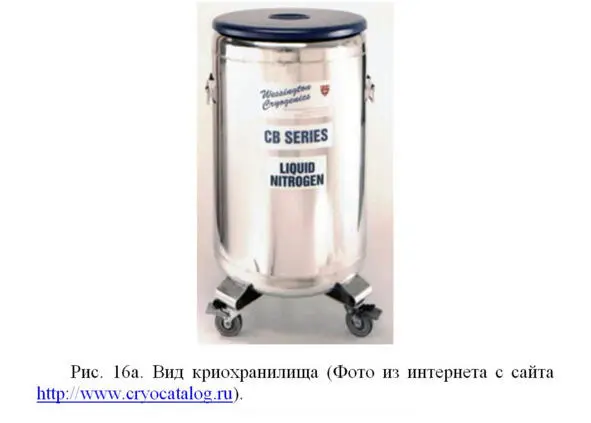 Перед замораживанием клетки отмывают от ростовой среды и выдерживают в защитном - фото 26