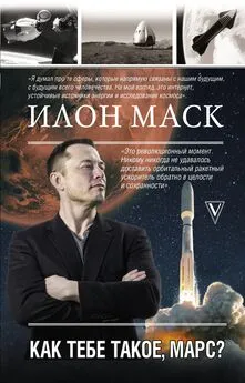 Анна Кроули Реддинг - Илон Маск. Как тебе такое, Марс?