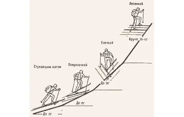 Рисунок 42 Подъём по склону на лыжах Полуёлочкой поднимаются на более крутых - фото 108
