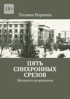 Татьяна Норкина - Пять синхронных срезов. Механизм разрушения