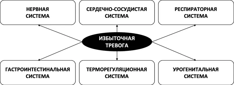 Рис 5 Многогранность телесных проявлений тревоги А симптоматики порождаемой - фото 5