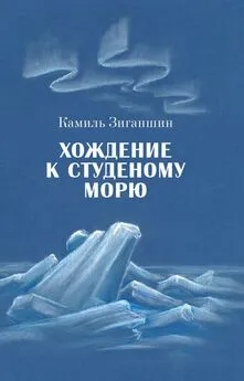 Камиль Зиганшин - Хождение к Студеному морю