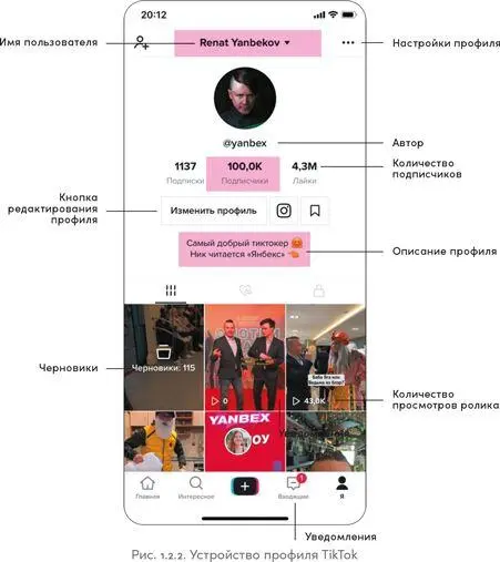 Профиль пользователя TikTok немного похож на профиль в Instagram в нем тоже - фото 7