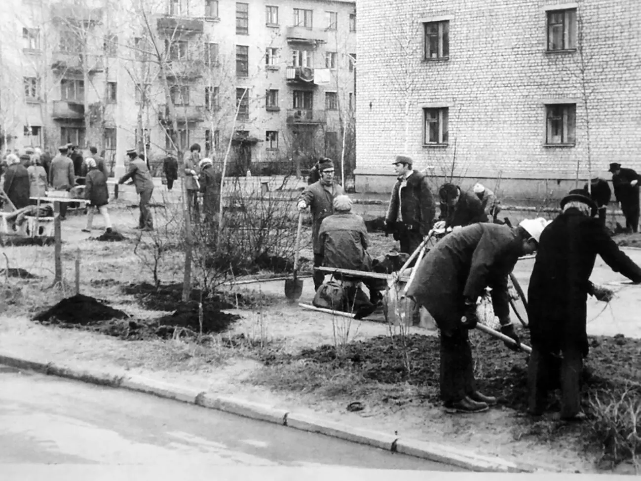 Фото 51 Субботник ну как не поучаствовать Получение нового жилья - фото 51